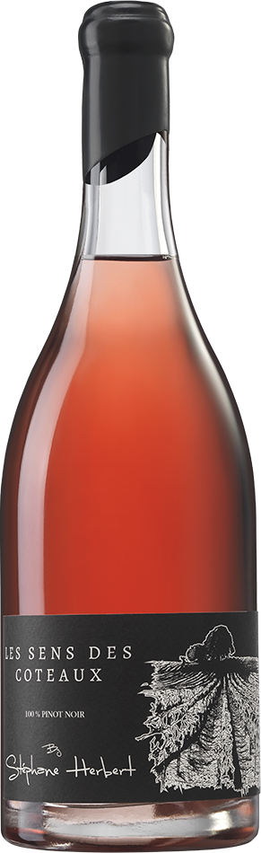 Acheter Coteau Rosé - Champagne Stéphane Herbert à Rilly la Montagne