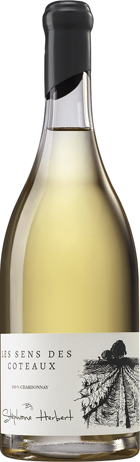 Acheter Coteau Blanc - Champagne Stéphane Herbert à Rilly la Montagne
